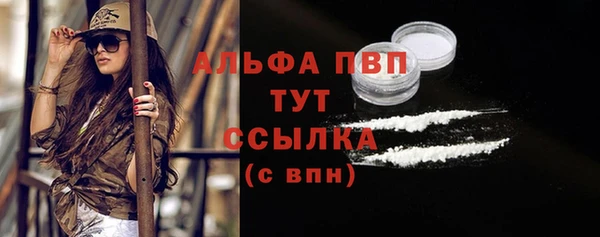 сатива Абаза