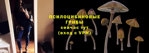сатива Абаза