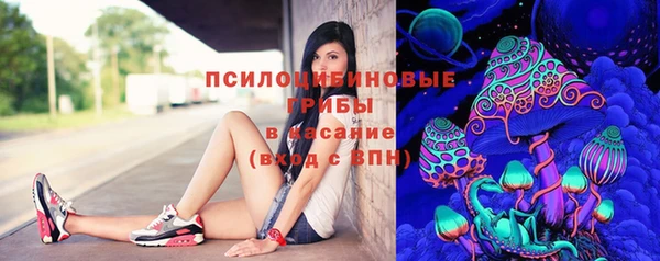 сатива Абаза