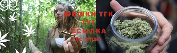 сатива Абаза
