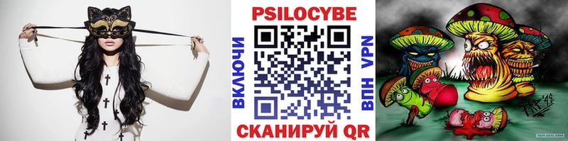 OMG сайт  наркота  Терек  Псилоцибиновые грибы мухоморы 